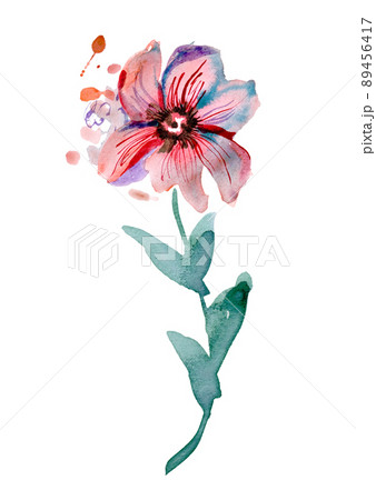 Watercolor floral design. Pink and Blue flowers and watercolor splashes. High quality photo 89456417