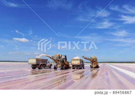 Salt lagoon.Dunaliella salina coloration.La Pampa 89456867