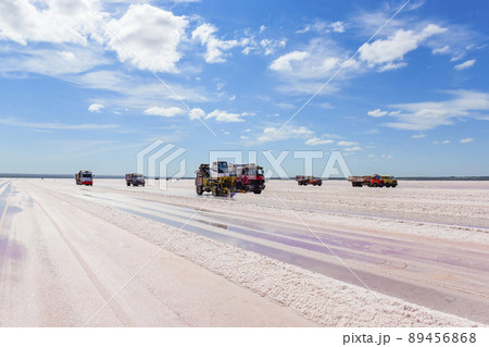 Salt lagoon.Dunaliella salina coloration.La Pampa 89456868