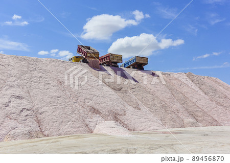 Salt lagoon.Dunaliella salina coloration.La Pampa 89456870