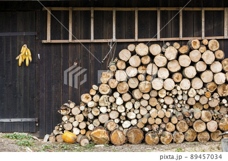 Neatly stacked big pile of chopped fire wood logs prepared for winter at vintage wooden barn wall with slate roof, ladder and corn cobs bundles on bright sunny day. Peasant traditional lifestyle. 89457034