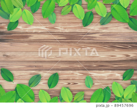若葉　背景素材 89457696