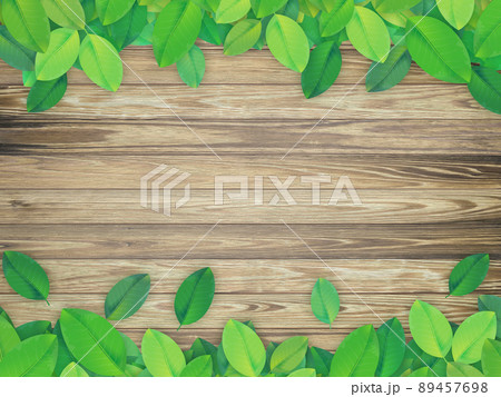 若葉　背景素材 89457698