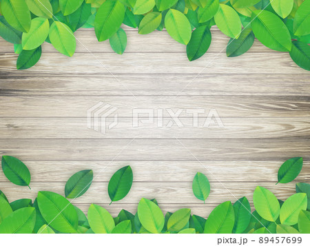 若葉　背景素材 89457699