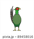 Pheasant キジ 89458016