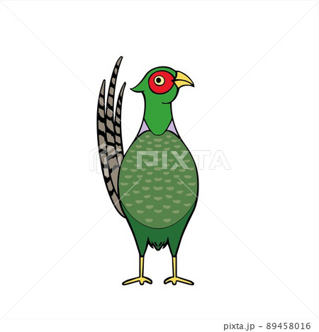 Pheasant キジのイラスト素材