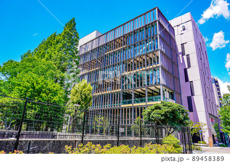 聖路加国際大学公衆衛生大学院 89458389