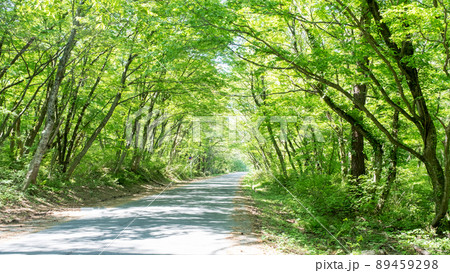 新緑・初夏のサイクリングイメージ（大山） 89459298