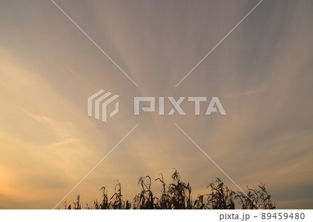 夕焼け空 89459480