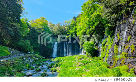 白糸の滝（富士宮市） 89460026