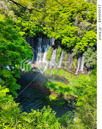 白糸の滝（富士宮市） 89460047