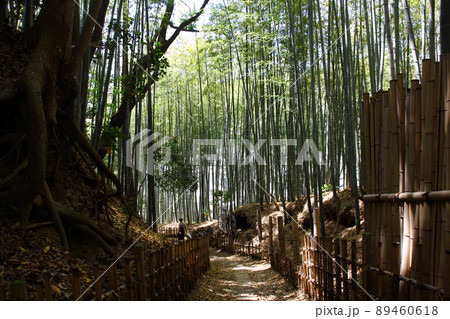 竹林の竹垣でできた坂路を下って家路に着く、木漏れ日の竹垣の小径は通い慣れた生活 89460618