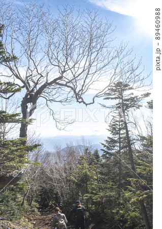 男体山の険しい登山道 男体山の険しい登山道 89460988