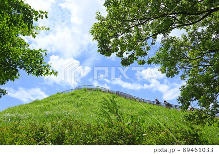 川和富士公園　神奈川県横浜市都筑区富士見が丘 89461033