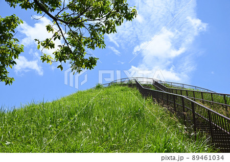 川和富士公園 神奈川県横浜市都筑区富士見が丘 川和富士公園 神奈川県横浜市都筑区富士見が丘 89461034