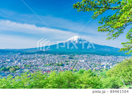 （山梨県）新緑の新倉山浅間公園から望む、富士山 89461504