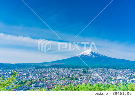 （山梨県）新緑の新倉山浅間公園から望む、富士山 89461509