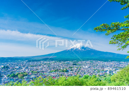 （山梨県）新緑の新倉山浅間公園から望む、富士山 89461510
