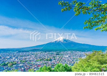 （山梨県）新緑の新倉山浅間公園から望む、富士山 89461515