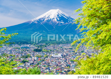 (山梨県)新緑の新倉山浅間公園から望む、富士山 (山梨県)新緑の新倉山浅間公園から望む、富士山 89461520