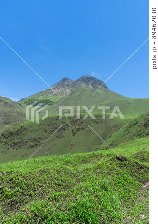 《大分県》由布岳（鶴見岳） 89462030