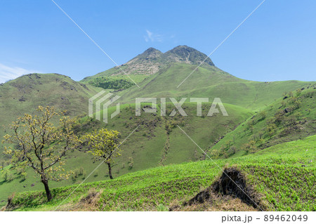 《大分県》由布岳（鶴見岳） 89462049