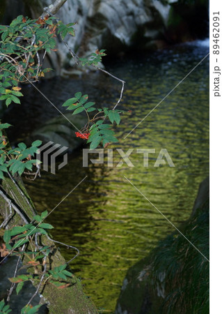 鳥取　四季の散歩　赤波川の甌穴 89462091