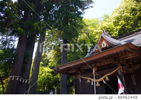 静岡県伊豆市修善寺の隣にある弘法大師建立の日枝神社の夫婦杉・子宝の杉・一位樫 静岡県伊豆市修善寺の隣にある弘法大師建立の日枝神社の夫婦杉・子宝の杉・一位樫 89462449