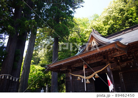 静岡県伊豆市修善寺の隣にある弘法大師建立の日枝神社の夫婦杉・子宝の杉・一位樫 静岡県伊豆市修善寺の隣にある弘法大師建立の日枝神社の夫婦杉・子宝の杉・一位樫 89462450