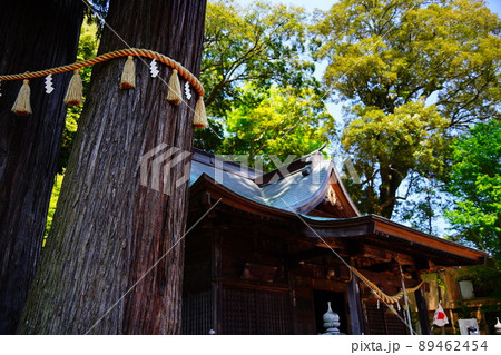 静岡県伊豆市修善寺の隣にある弘法大師建立の日枝神社の夫婦杉・子宝の杉・一位樫 静岡県伊豆市修善寺の隣にある弘法大師建立の日枝神社の夫婦杉・子宝の杉・一位樫 89462454