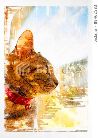 猫 ネコ ねこ キジトラ 白 グレー 子猫 雌 メス 雌ねこ 雌ネコ 雌猫 元気 かわいい 癒し ス 89462583