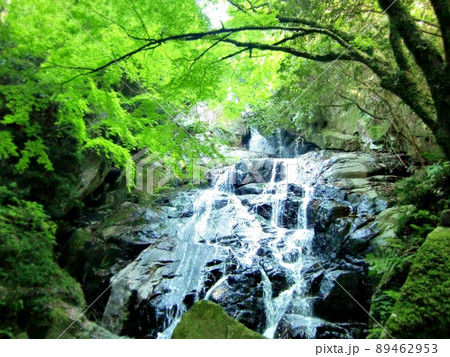 初夏の新緑に囲まれた千寿院の滝(福岡) 初夏の新緑に囲まれた千寿院の滝(福岡) 89462953