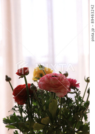 カラフルラナンキュラス 89463242