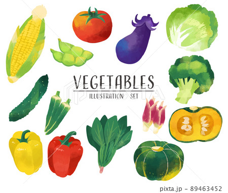 水彩風の野菜のベクターイラスト素材／料理／トマト／トウモロコシ 89463452