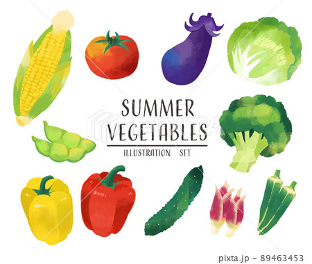 水彩風の夏野菜のベクターイラスト素材 料理 トマト トウモロコシのイラスト素材