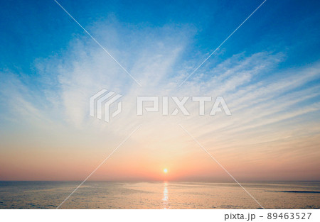 5月上旬　日の出　茨城県日立市 89463527