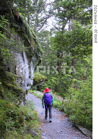 ニュージーランド_ルートバーン・トラック02 89464202