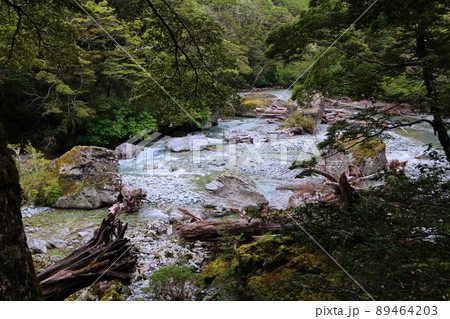 ニュージーランド_ルートバーン・トラック03 89464203