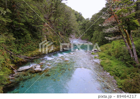 ニュージーランド_ルートバーン・トラック17 89464217