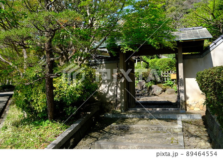大磯城山公園1 大磯城山公園1 89464554
