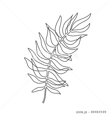 Continuous one line palm leaf. Tree leaves single line. Vector aesthetic contour concept for home decor 89464599