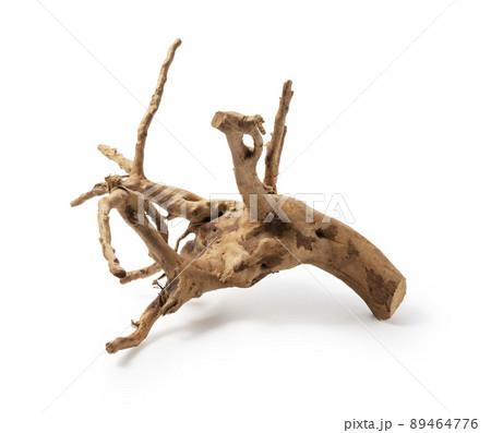 ブランチウッド 89464776