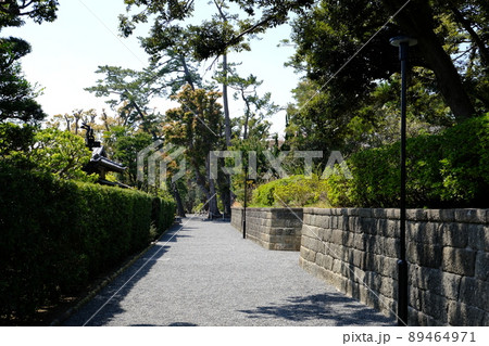 大磯庭園2 89464971