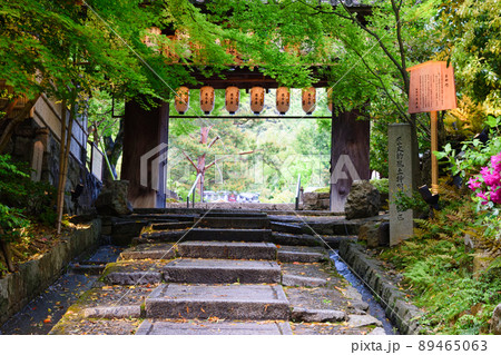 京都 高台寺 89465063