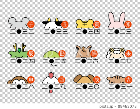 Face illustrations of the zodiac and the era 2023 ~ 2034 colorful 89465078