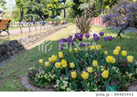 庭園の草花 89465443