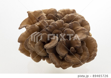 舞茸 舞茸 89465726