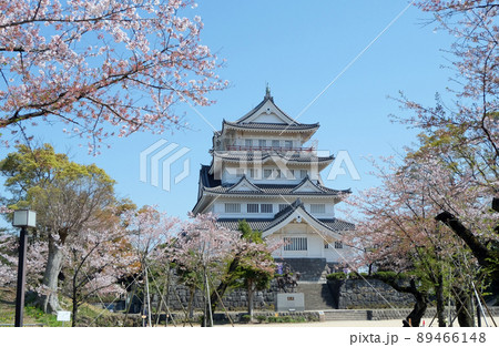 桜咲く千葉城 桜咲く千葉城 89466148