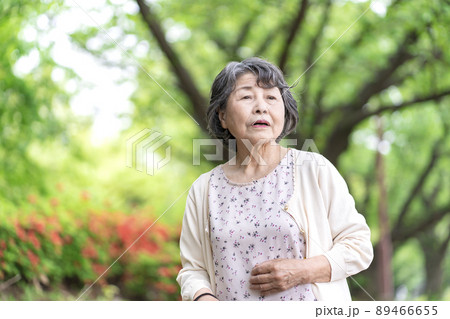 道に迷うシニア女性 89466655