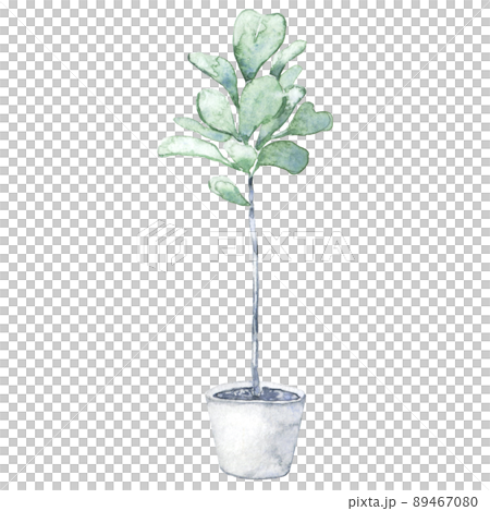 Watercolor home fiddle leaf fig tree in pot 89467080